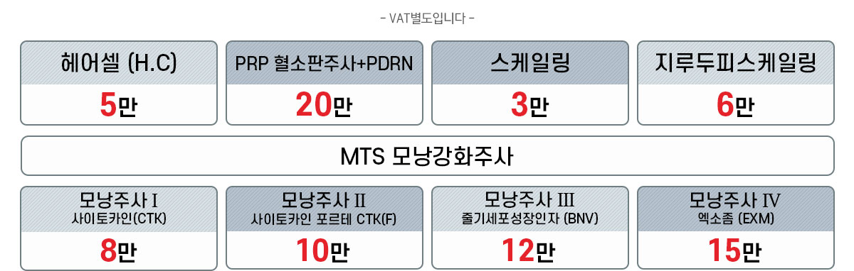 두피/탈모 치료 비용 안내 통 이미지